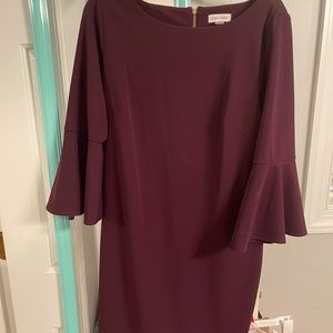 Calvin Klein Plum Shift dress